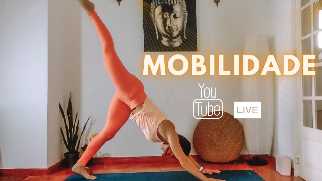 MOBILIDADE GERAL | Carolina NOW