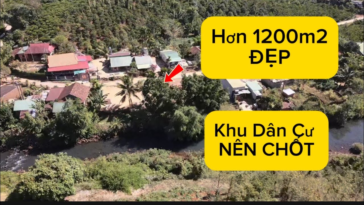 Mê mẩn luôn ae ơi lh 0979601651 em Đạt #muabandatgiare #bdsdaknong #datvuongiare 