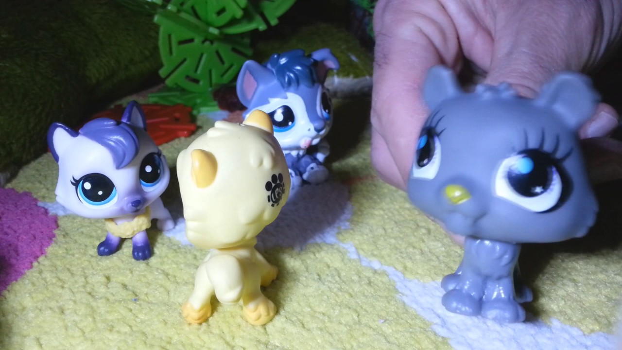 LPS: Orman Maceramız...(Again for non-viewers)