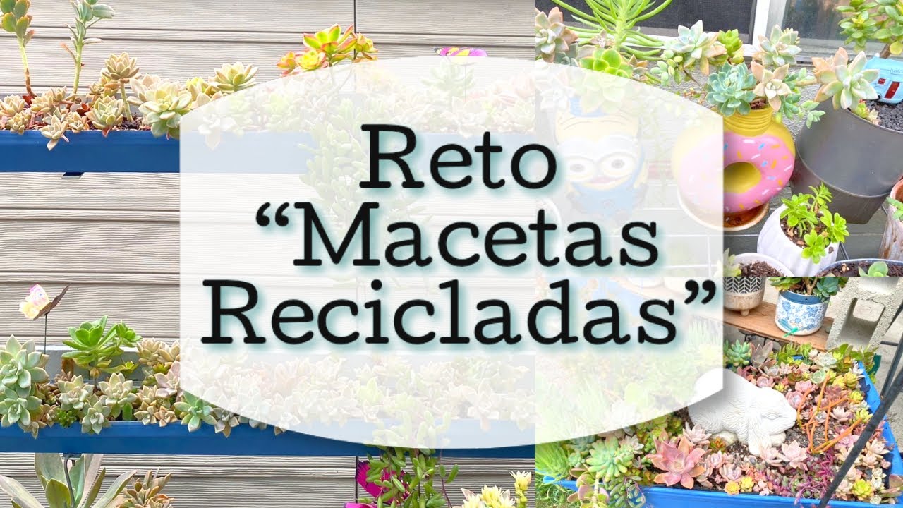 Reto Macetas Recicladas | #retomacetasrecicladas