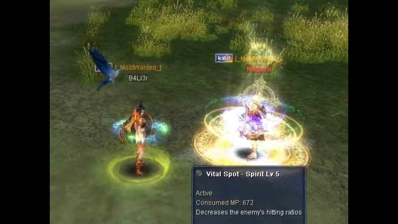 Silkroad PvP 80 Force Bower vs  80 Xbow/cleric on iris