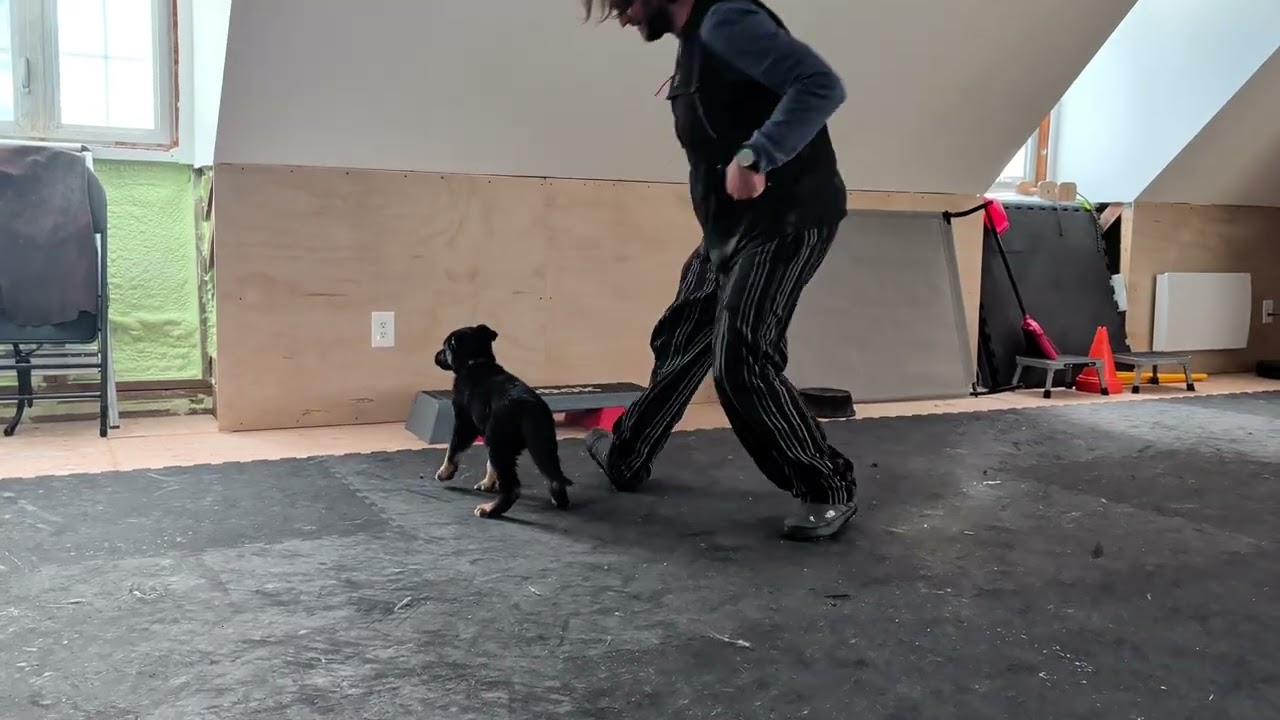 Heeling with Rumba
