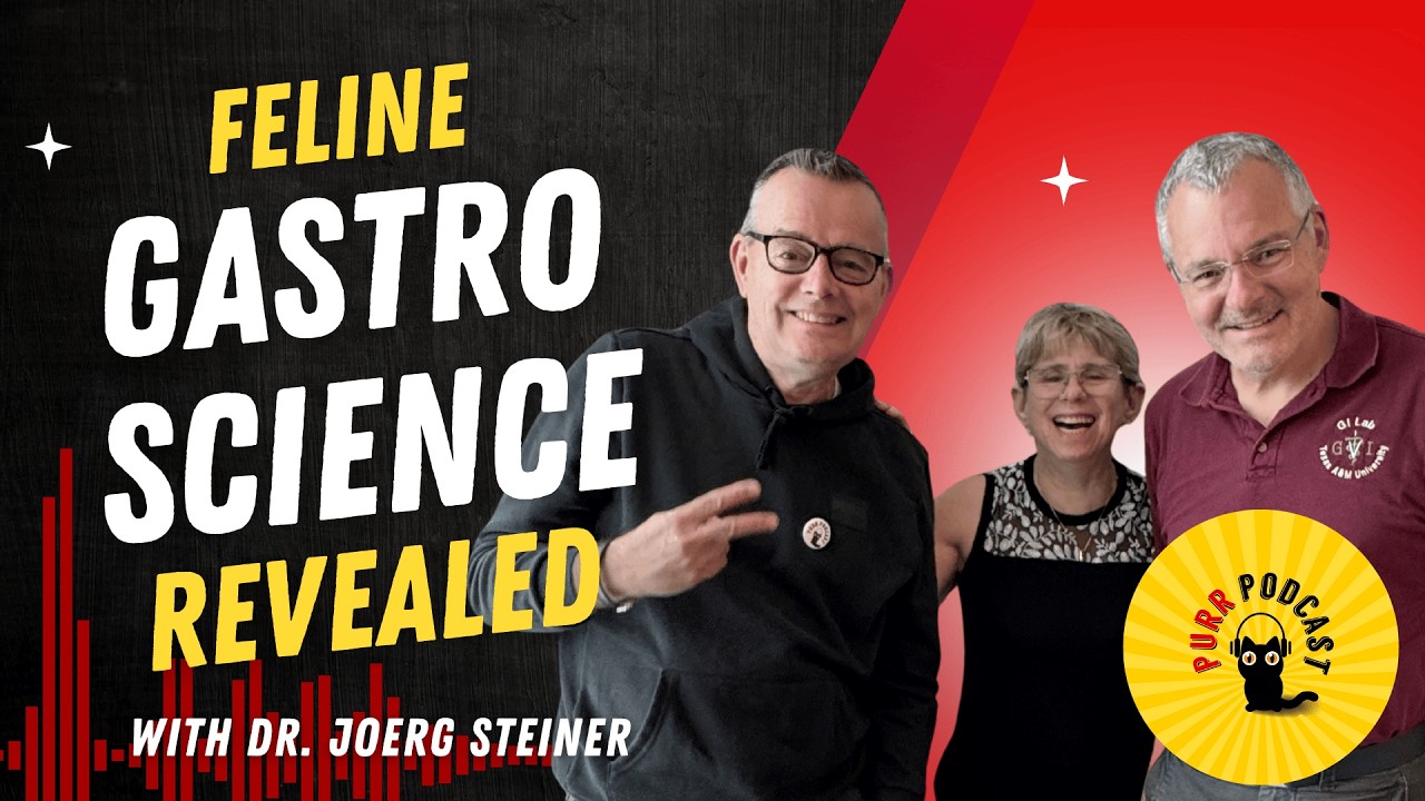 The Hidden Science Behind Feline GI Disorders with Dr. Joerg Steiner - Purr Podcast Eps. 231