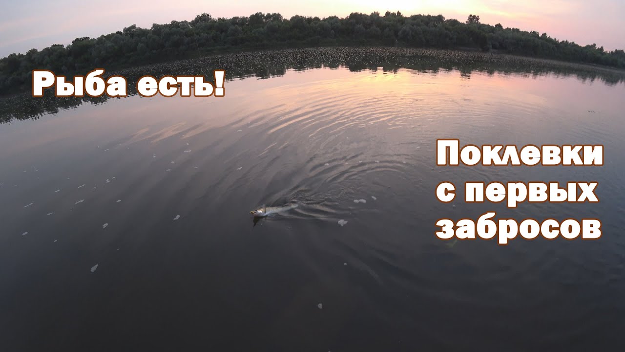 Ночной судак на воблеры в середине лета. Первая нормальная рыбалка по судаку после запрета.