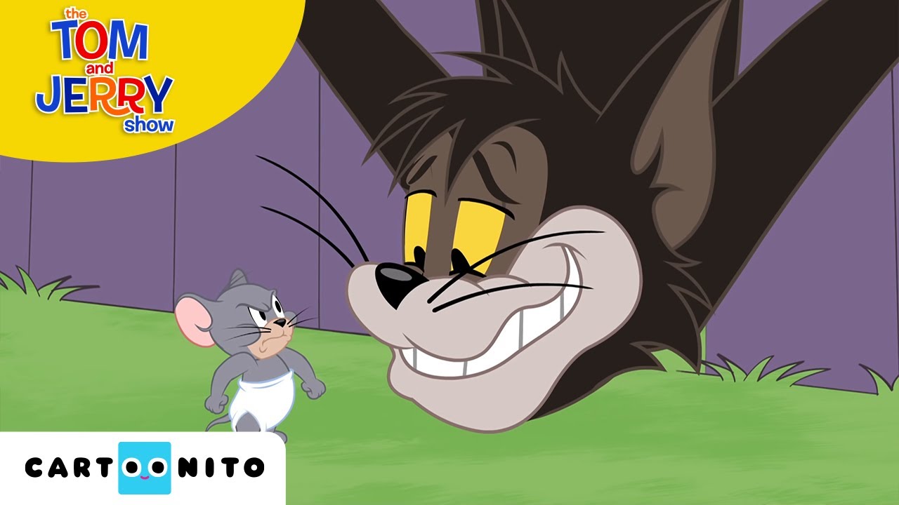 TOM VE JERRY | Fare Gücü |  Cartoonito Türkiye 🇹🇷