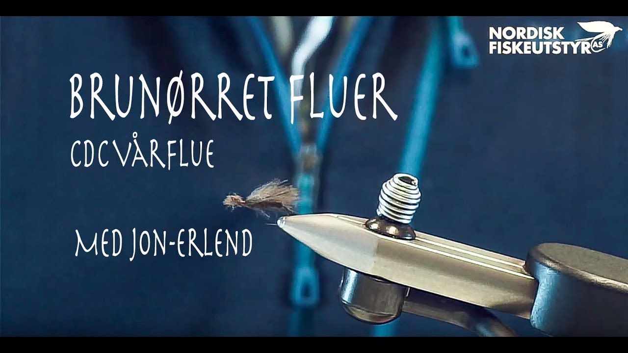 CDC vårflue