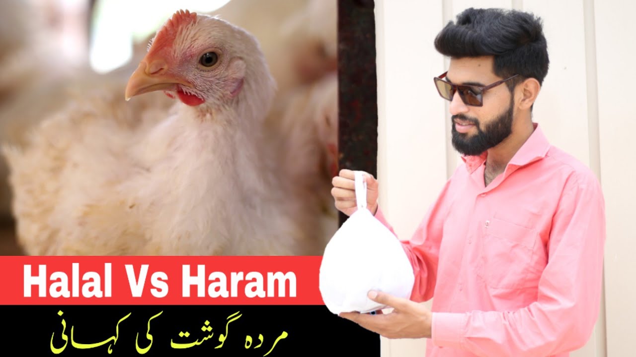 GOOD Vs BAD | Lalach ka Anjam | Sad Reality | Bwp Production