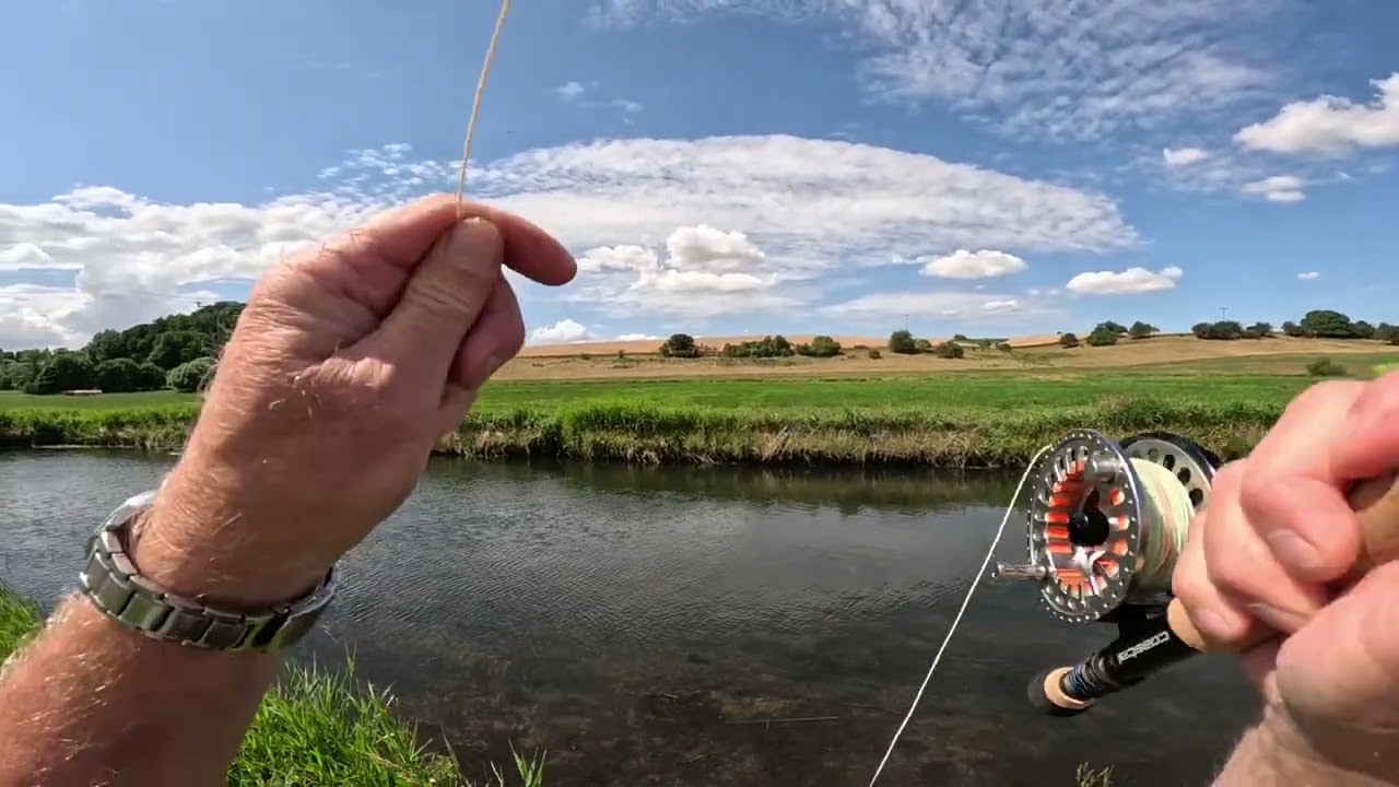 Flussd&ouml;bel mit der Trockenfliege
