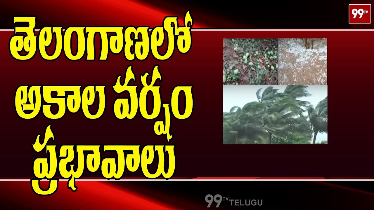 తెలంగాణలో అకాల వర్షం ప్రభావాలు | Premature Rain Effects on Telangana | 99TV Telugu