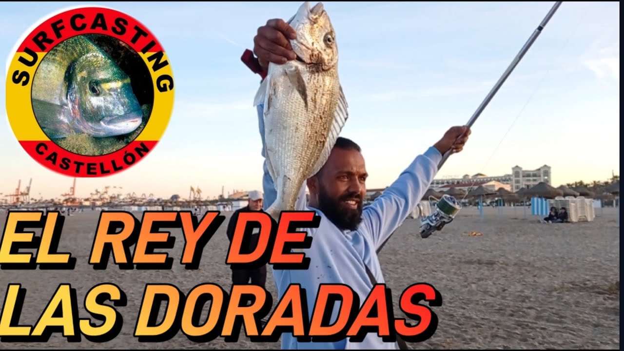 SURFCASTING CON EL REY DE LAS DORADAS EN VALENCIA