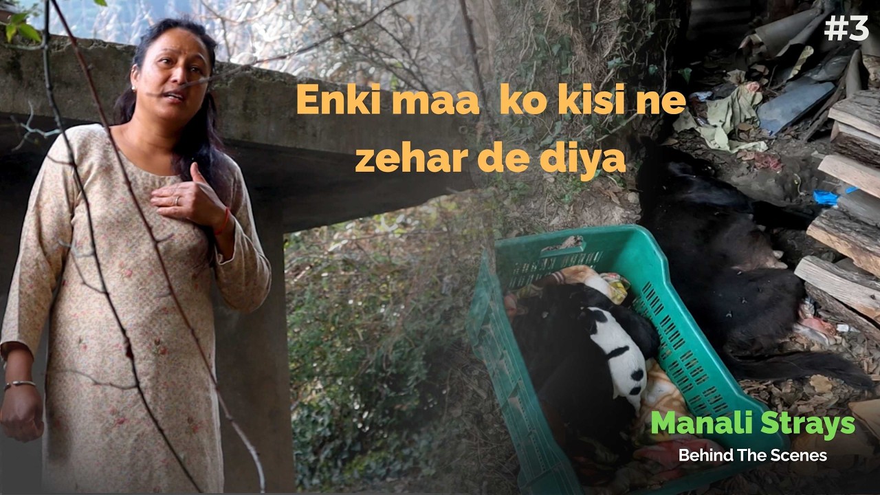 Kisi Ne Maa Ko Zehar De Diya… 7 Bacche Uska Intezaar Karte Rahe 💔