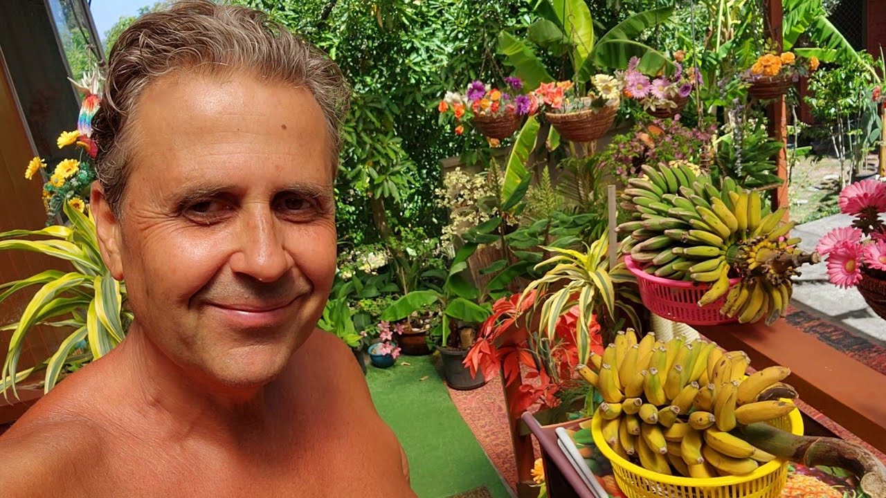 All You Need To Know About Growing Bananas in Melbourne (+ Other Cool Areas)
