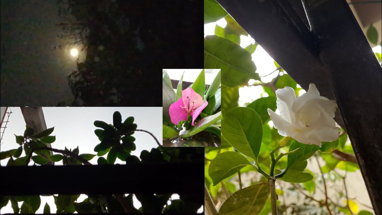 বছরের প্রথম বৃষ্টি হলো, A Random Vlog.., //Art & Crafting Gallery by Rajdip