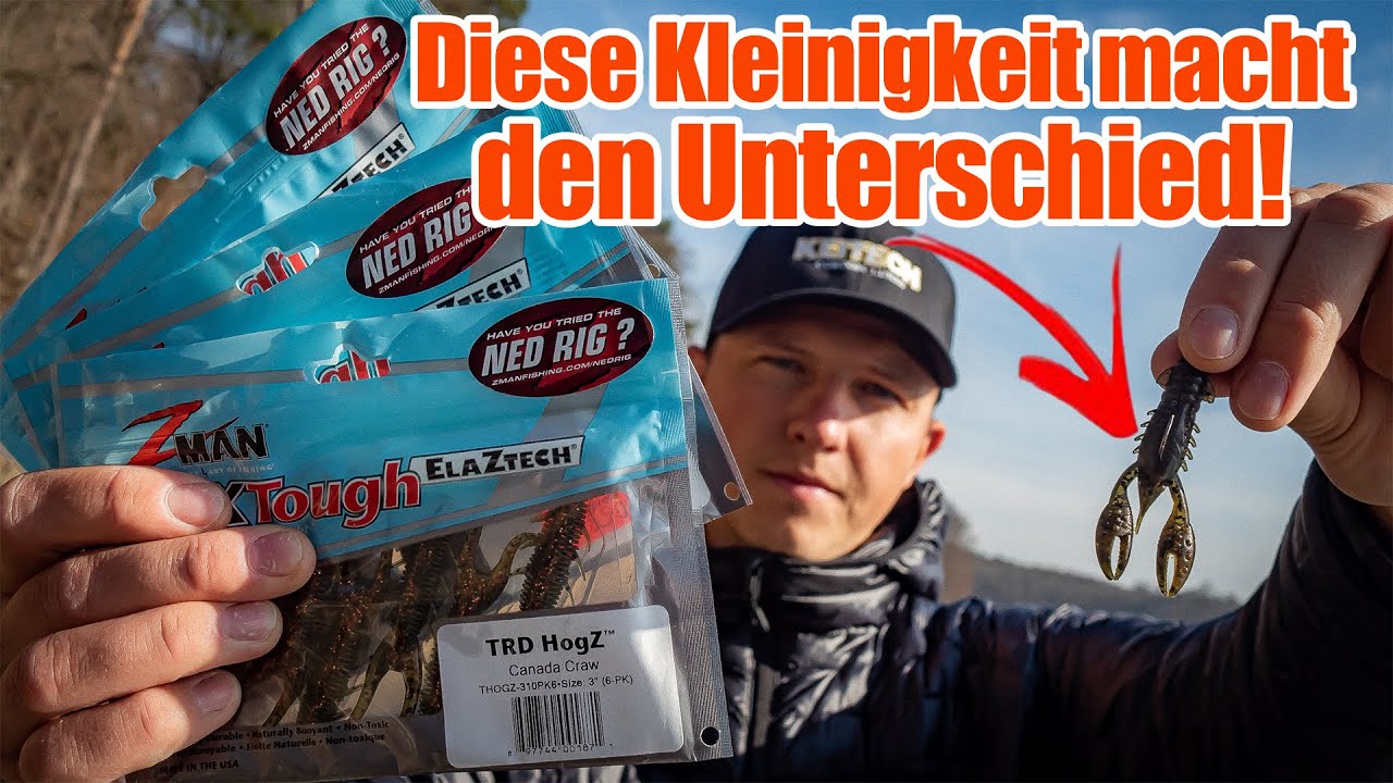 Angeln mit dem NED RIG - SO fangt ihr im Winter fette Barsche!