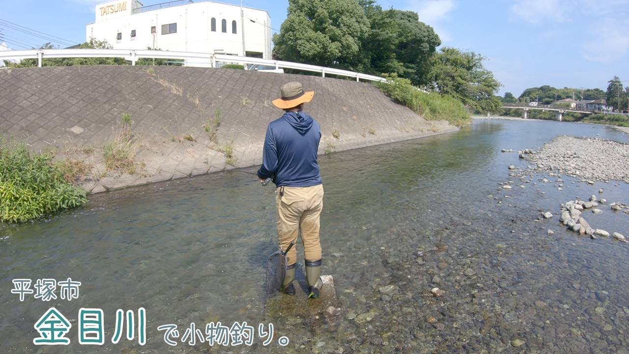 流行りのアユルアー投げてみた！ アユイングに初挑戦！ 平塚市 金目川で小物釣り。