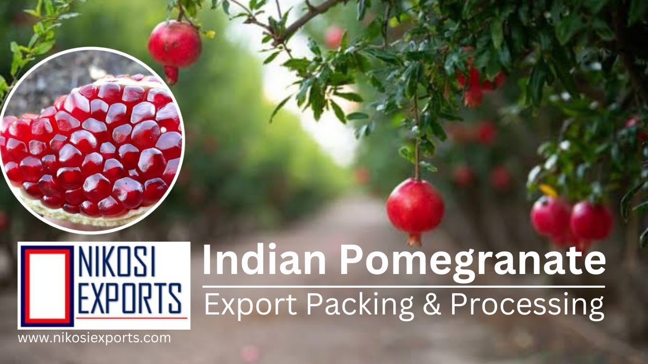 Indian Pomegranate How it's Packed for Export || 1.5 Million ton #pomegranate #exportimport