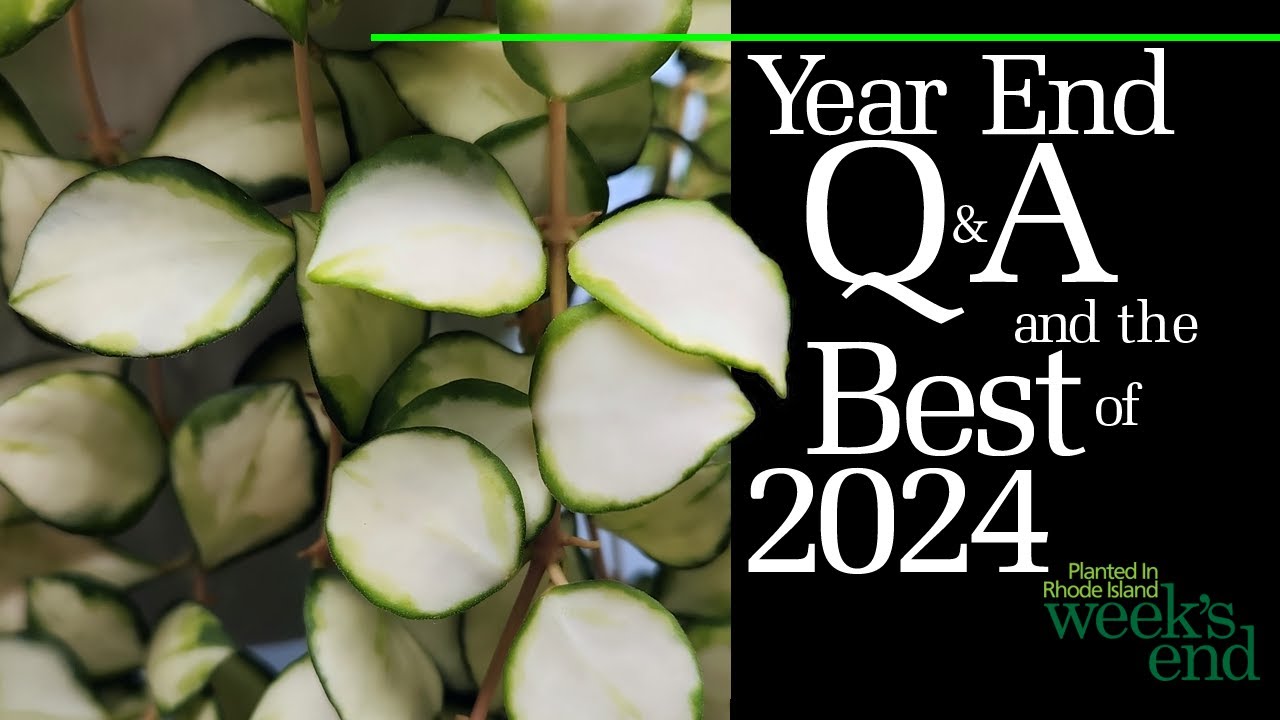YEAR END Q&A AND THE BEST OF 2024 - Questions, The Best of 2024, Location List, Hacks, What Worked
