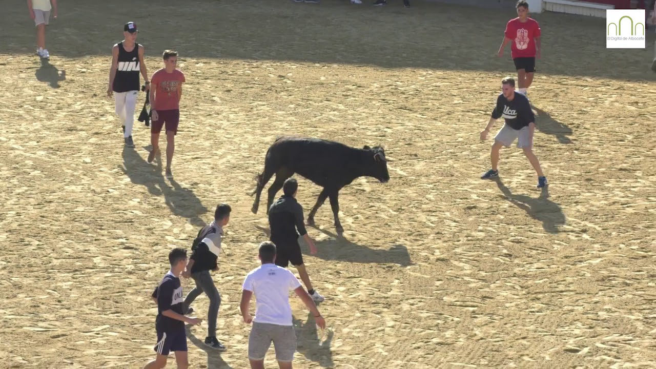 Vaquillas en la Feria Albacete, 13 de septiembre