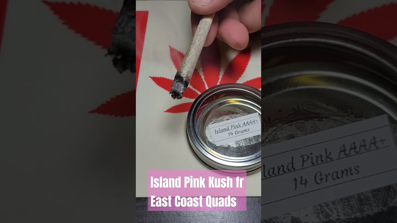 Island Pink Kush fr East Coast Quads