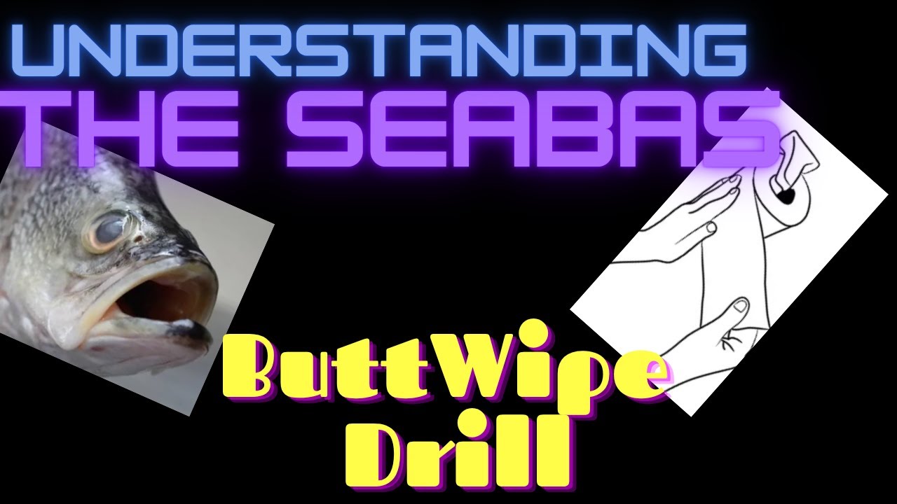 Понимание упражнения «ButtWipe» от SeaBas