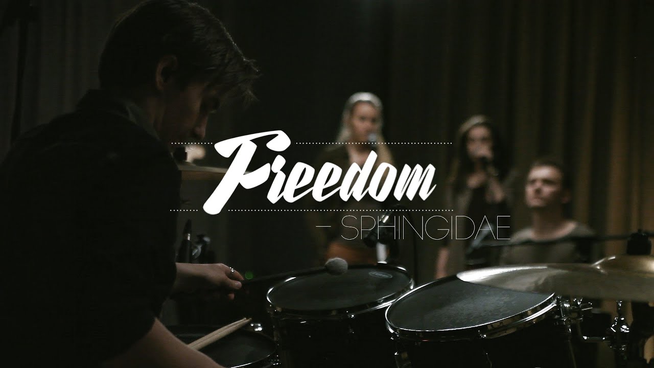 Sphingidae - Freedom (ШООМ_live)