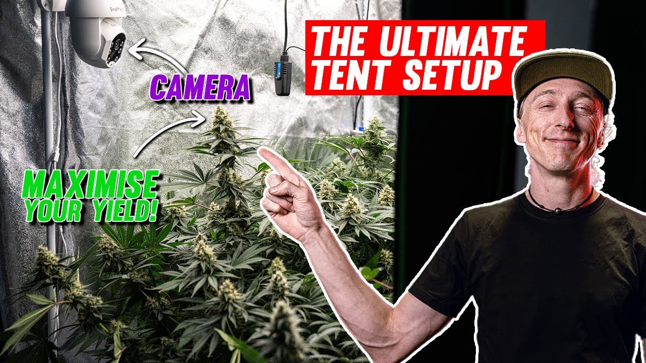 The ultimate 1x1 autoflower tent setup. Fully automated! | EP1