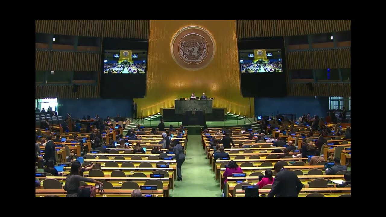 General assembly UN adopted the resolution for the international day of the Mediterranean diet