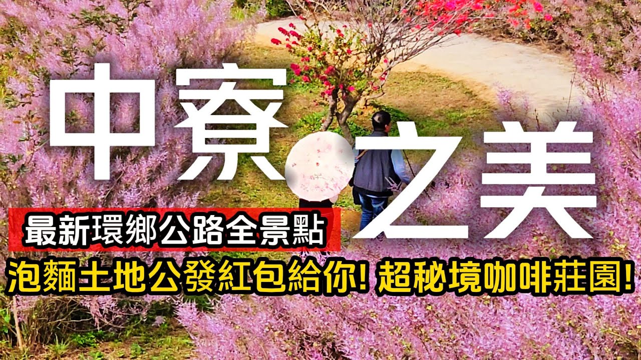 中寮秘境❗南投最美環鄉公路❗全台最夢幻麝香木大峽谷｜找泡麵土地公就能領紅包｜極隱密山中咖啡莊園｜921地震後25年過得如何❓｜中寮❌南投｜TAIWAN｜