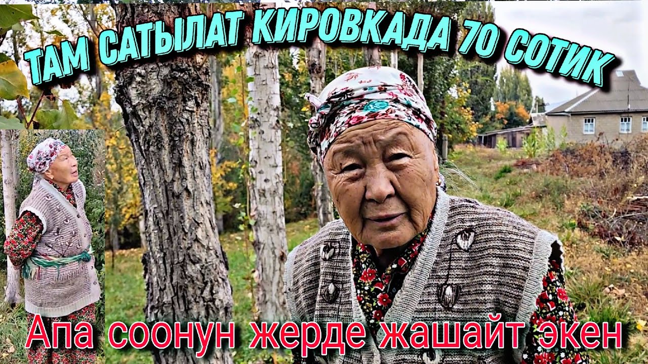 Там сатылат Кировкада соонун жерде