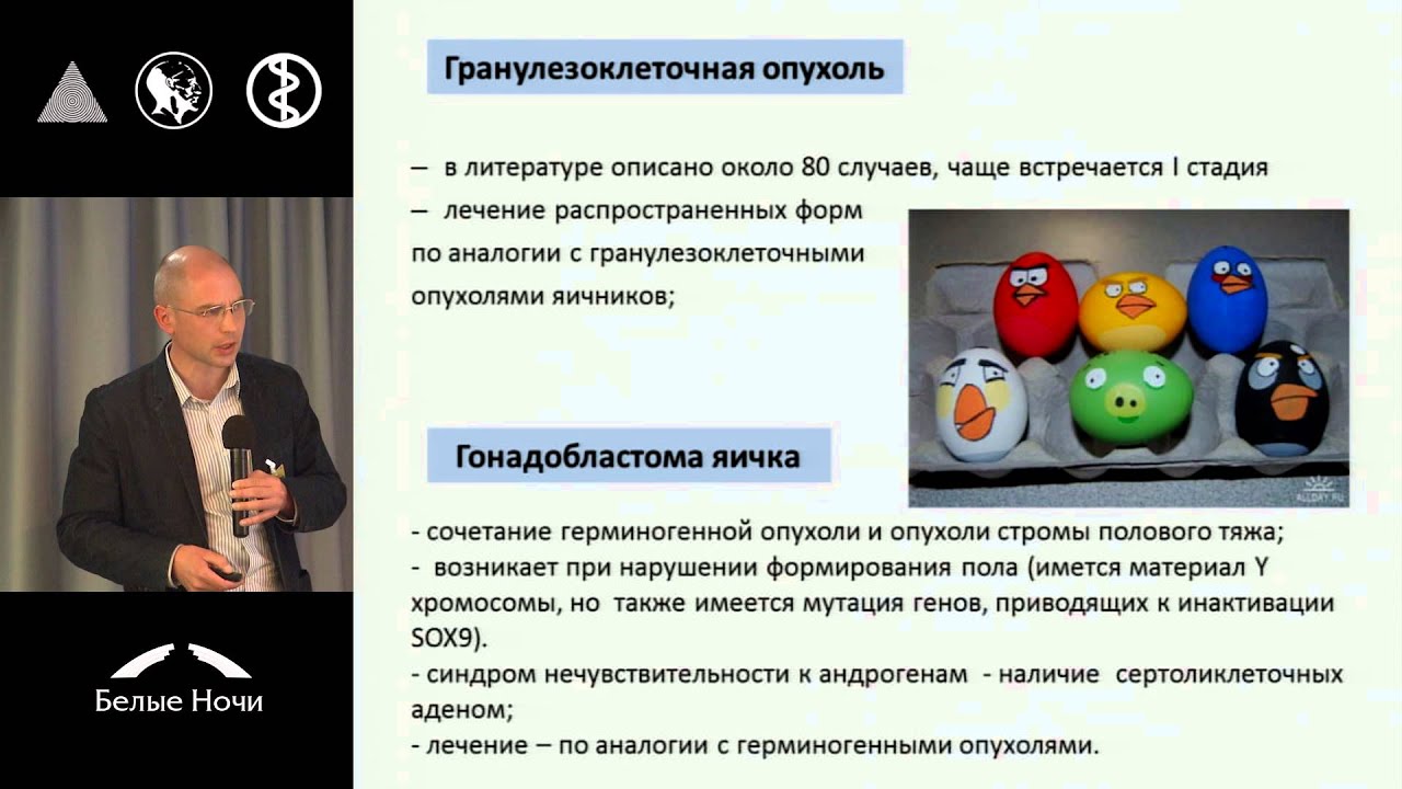 Редкие опухоли яичка