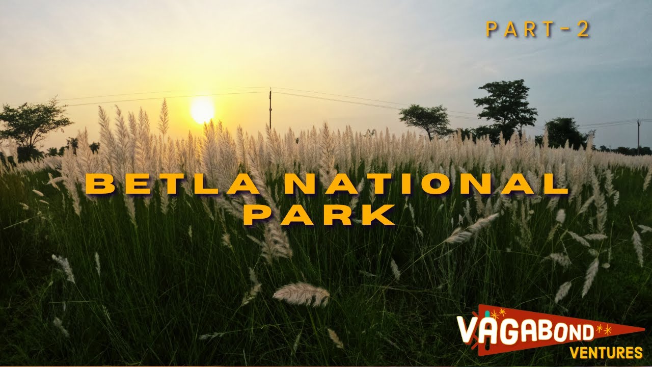 BETLA National Park (Part-2) | 4K60 | Travel Vlog | #vagabondventures12