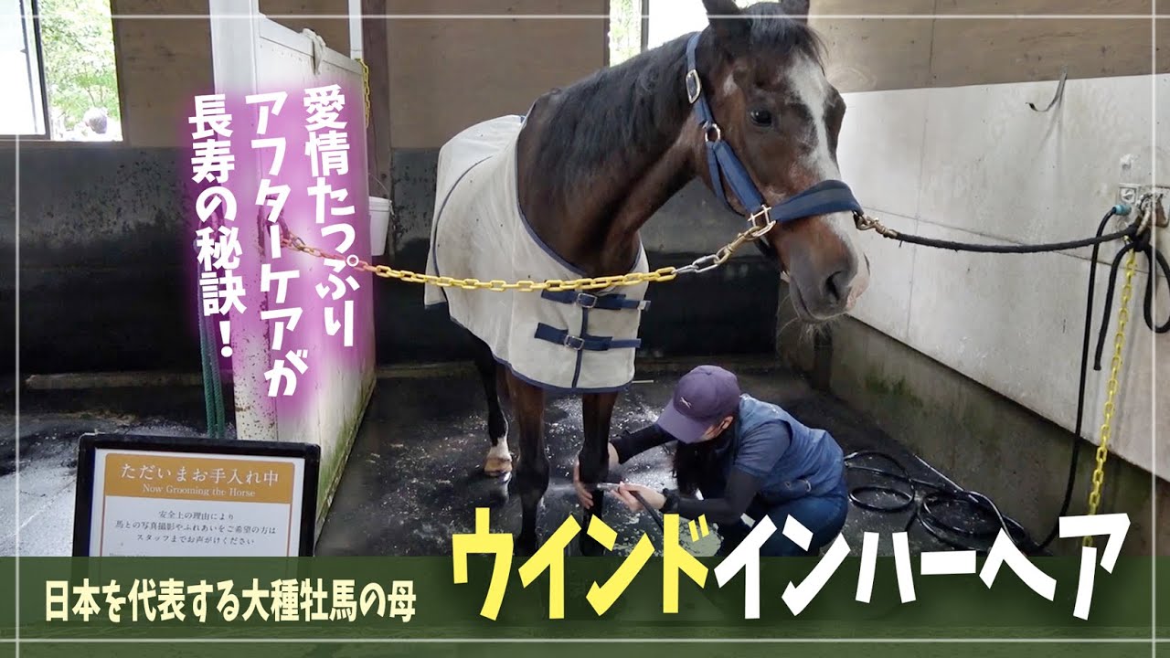 【ウインドインハーヘア】愛情たっぷりのお手入れのおかげで、健康的な毎日を過ごすママ