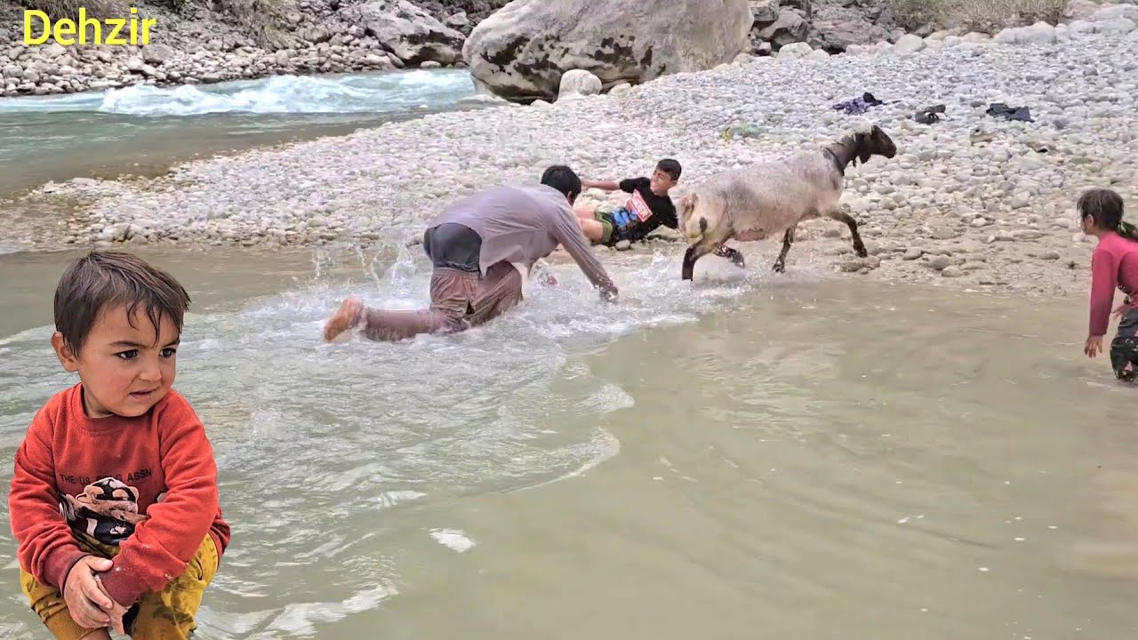 The children return to Aqarbun and wash the sheep by the river with the help of the children.