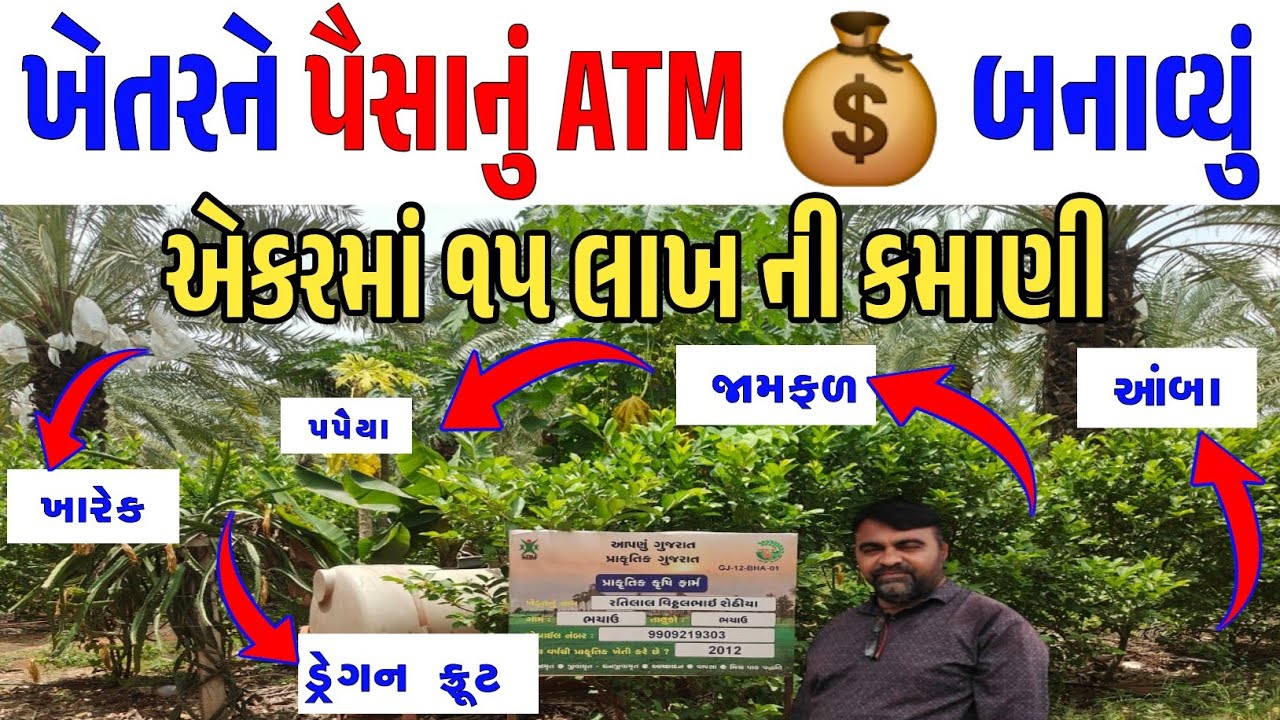 સુખી થવા માટે આ ખેતી કરવી પડશે | જંગલ મોડલ દ્વારા એકરમાં ૧૨ થી ૨૫ લાખ ની કમાણી #શેઠિયા ફાર્મ#kheti 