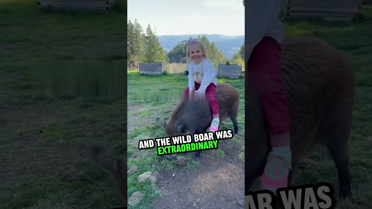 The Wild Boar Who Became a Family Pet ❤️