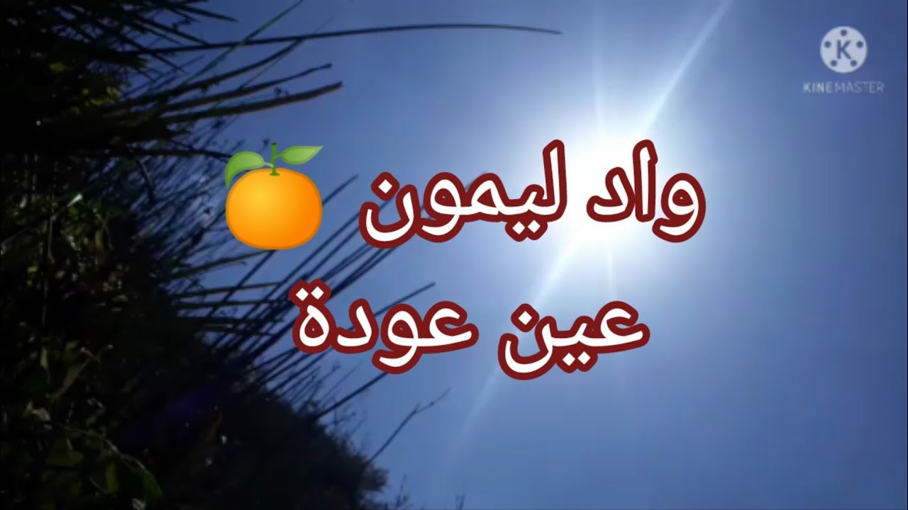 واد ليمون سركوي من اليانس مرورا بواد الليمون والخرجة الفردوس مناضر طبيعية رائعة