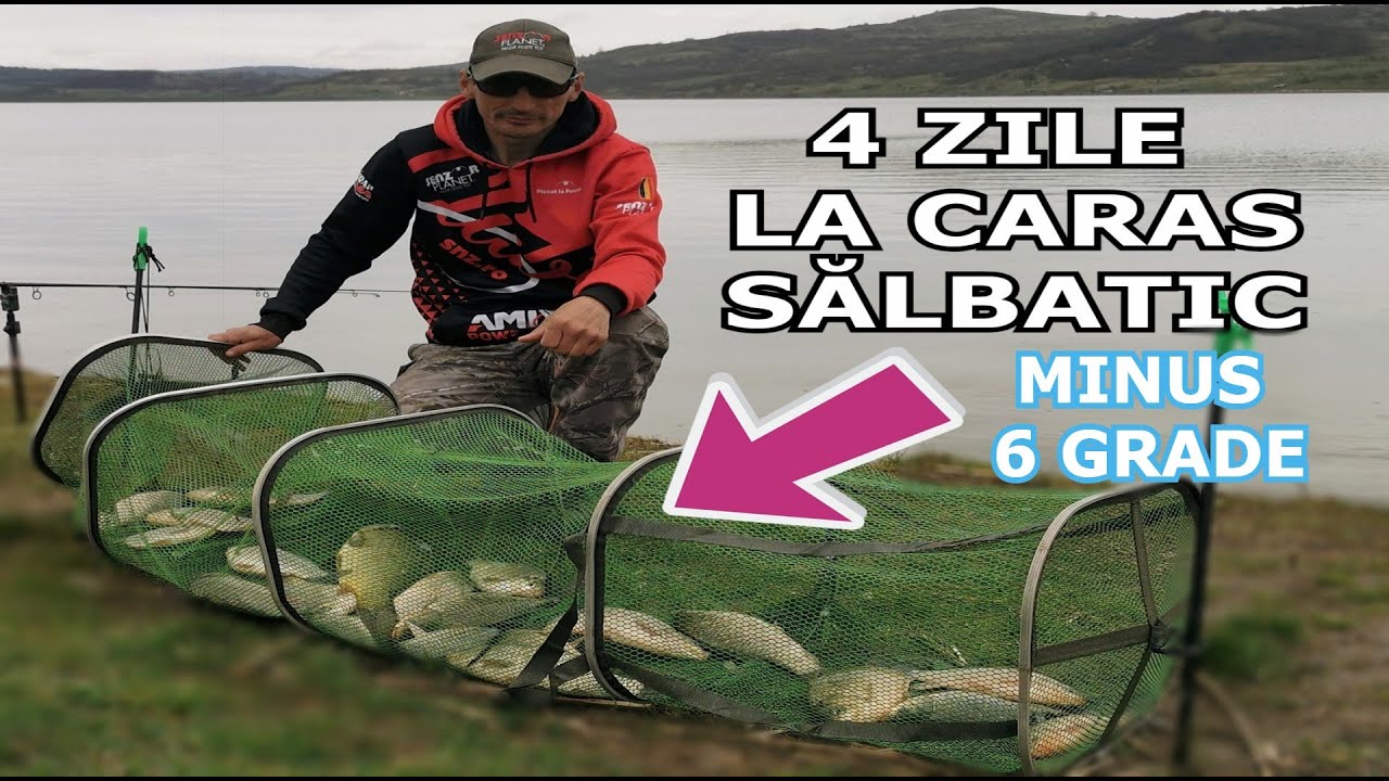4 ZILE de Pescuit La CARAS MARE si CRAP Salbatic Pe BARAJ La MINUS 6 GRADE Noaptea