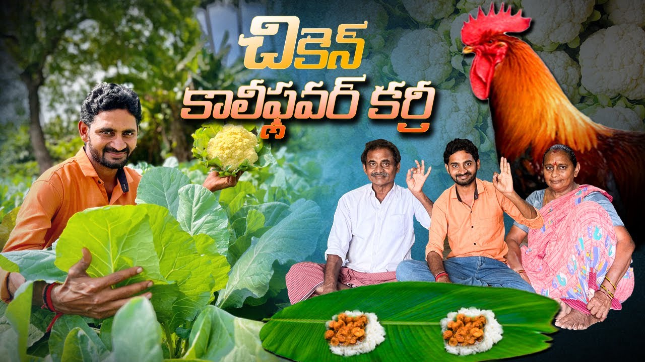 మనo పండించిన క్యాలిఫ్లవర్ తో చికెన్ + కాలీఫ్లవర్ కూర || Chicken Cauliflower curry ||