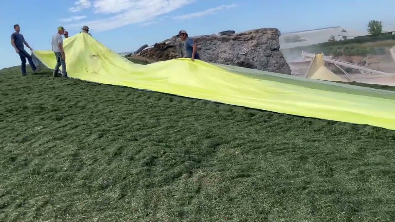 Oxygen Barrier Film