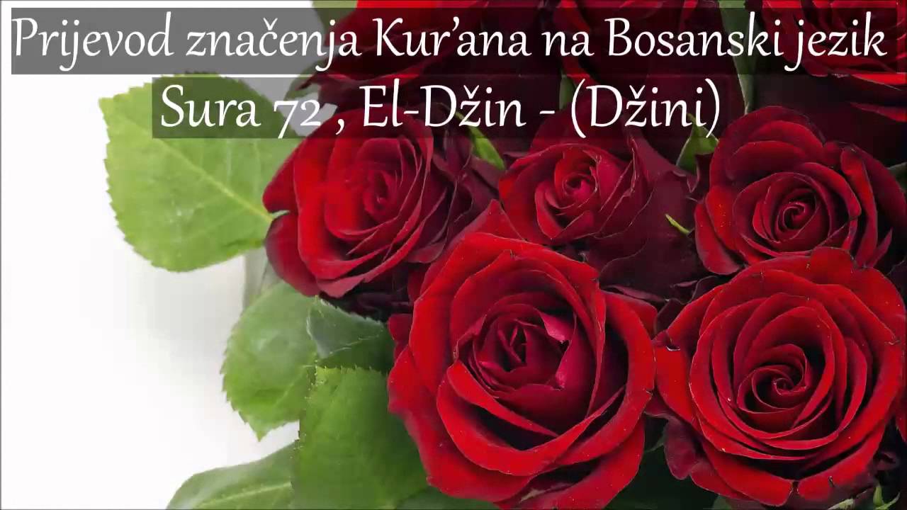 Sura 72 , El-Džin - (Džini) Prijevod na Bosanski [HD]