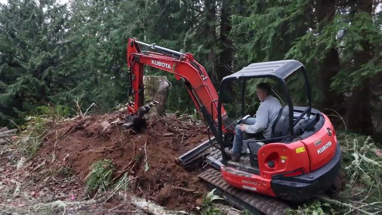 Cutting Trees and Pulling Stumps