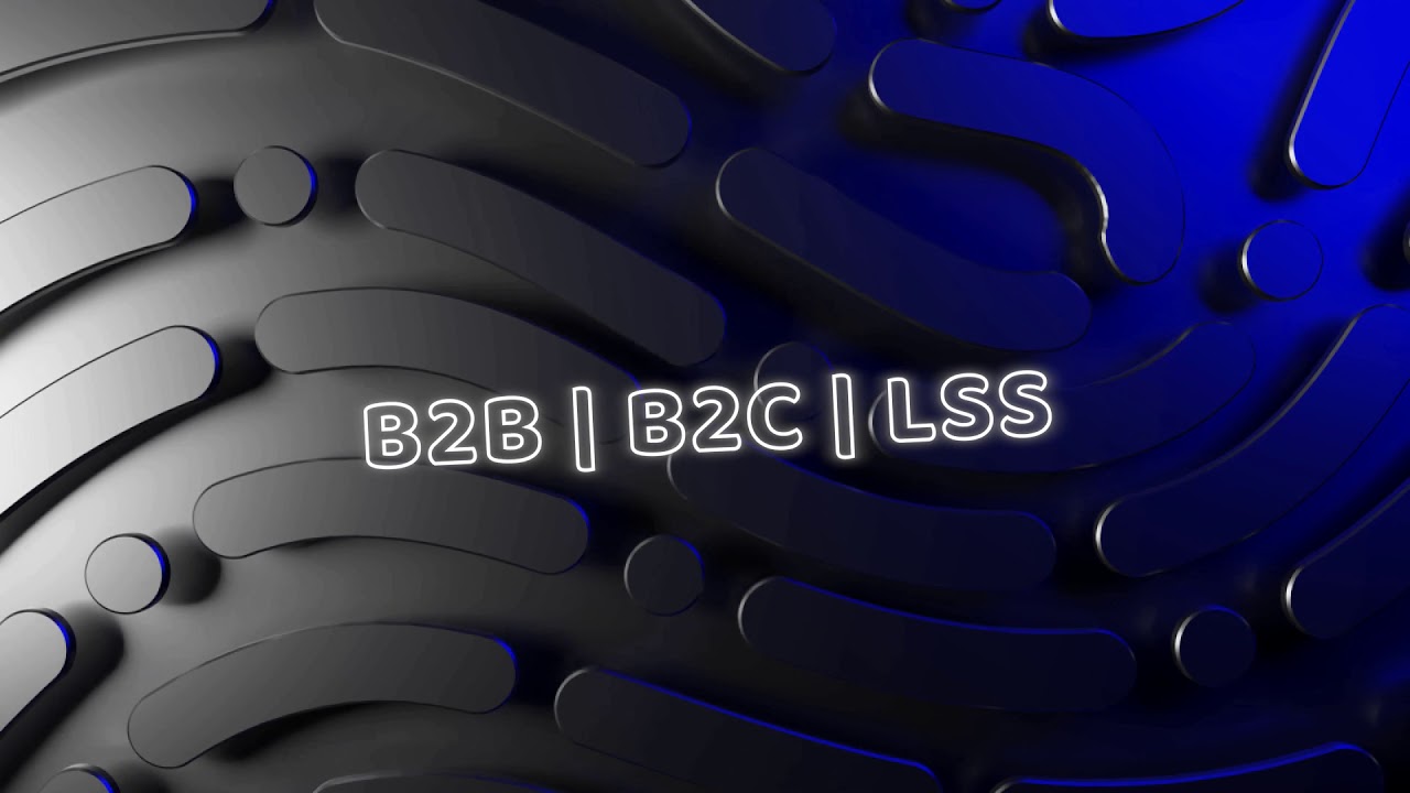 Bluelion 360 (Consulting)