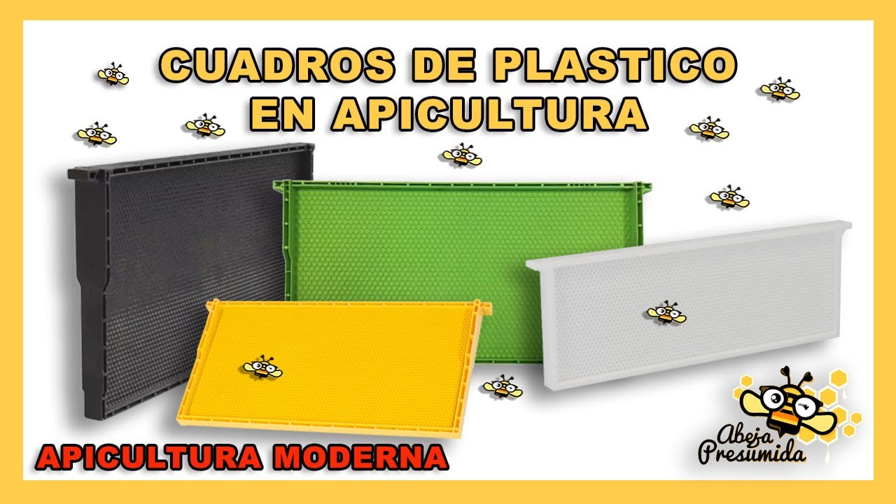 CUADROS de PLÁSTICO en Apicultura 🐝🧡🎥 Parte 1