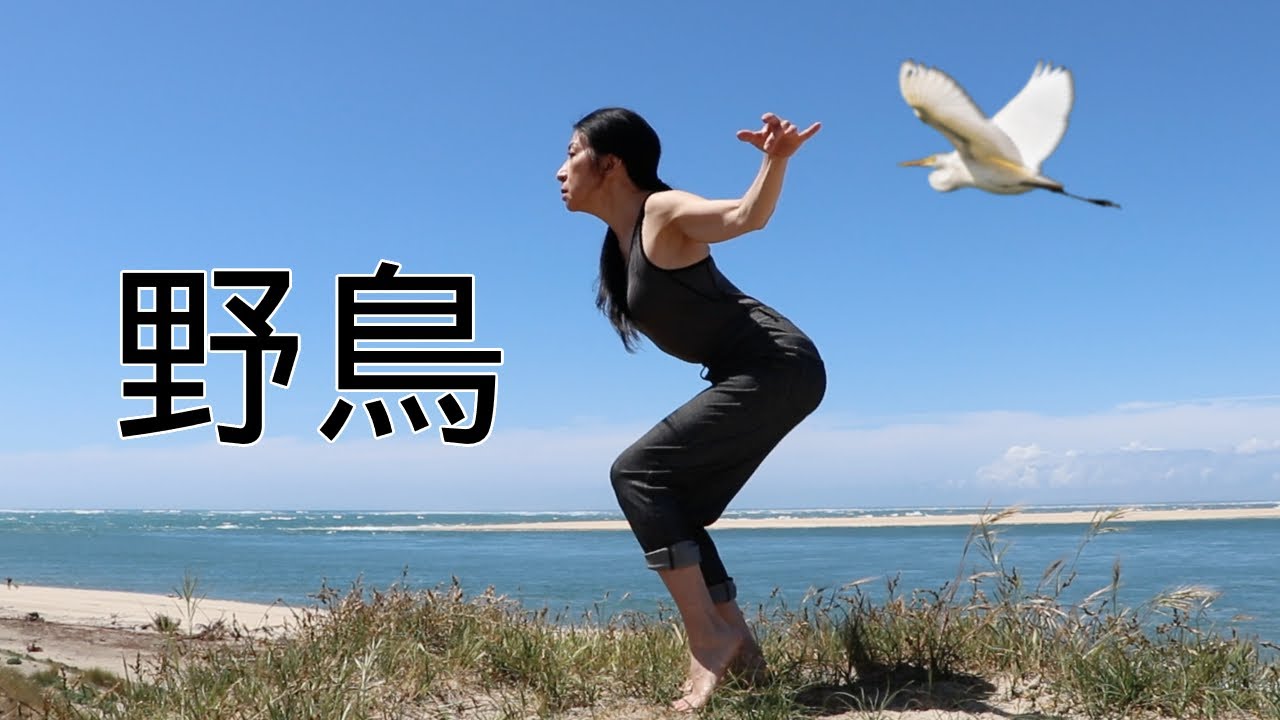 Wild bird dance - 舞踏の型「野鳥」How to improv Butoh with Juju Alishina