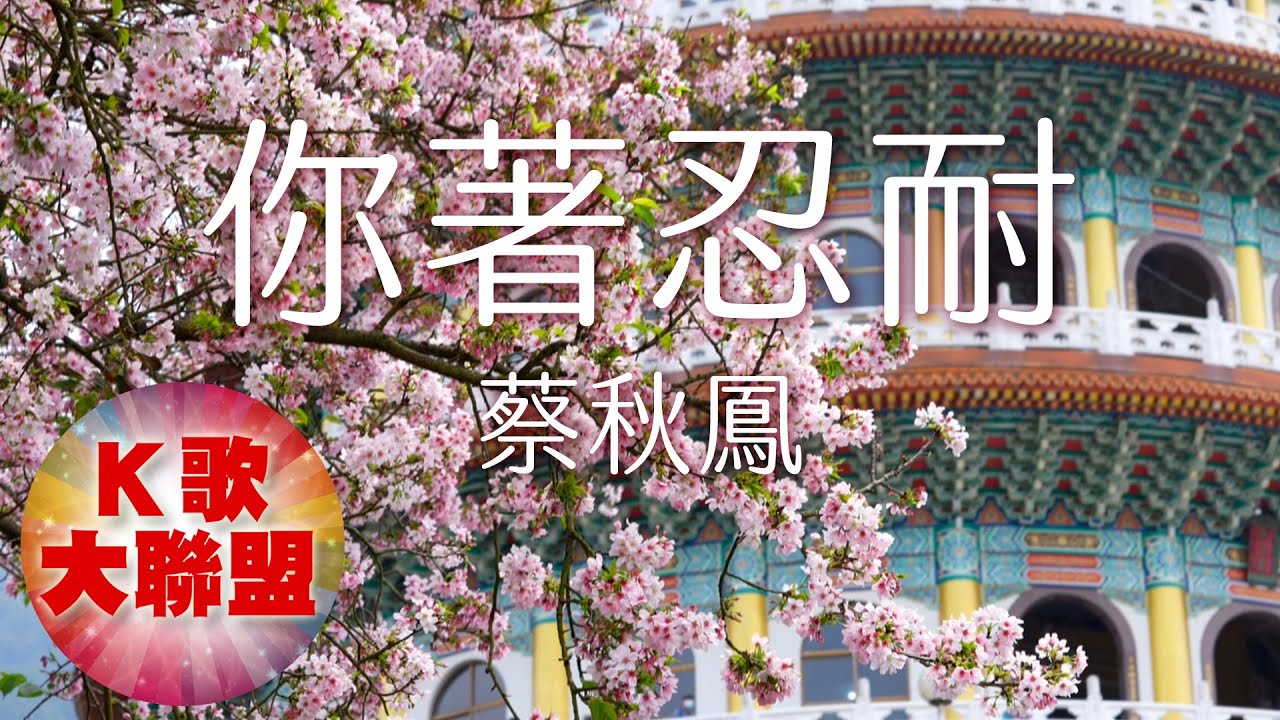 蔡秋鳳-你著忍耐【KTV導唱字幕】