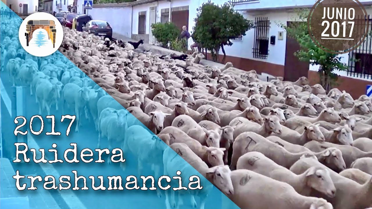 TRASHUMANCIA 2017