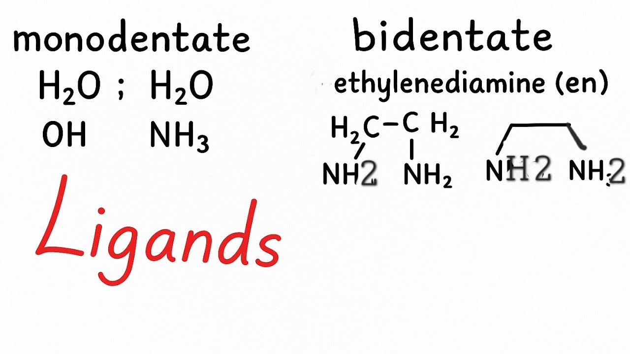 Monodentate, Bidentate, Ambidentate & Polydentate Ligands Explained Clearly