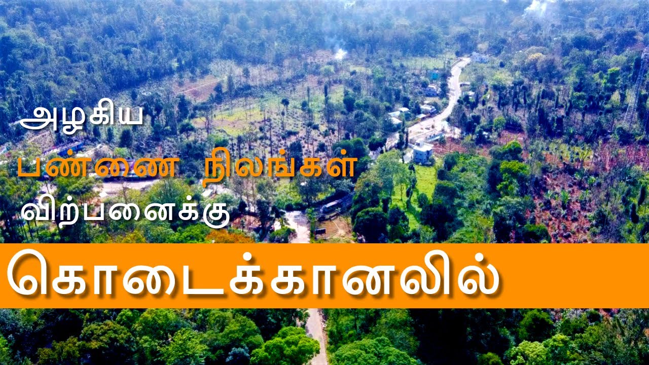 10,000sq.ft Farm House Lands For Sale in Kodai Elegance@ Kodaikanal | Beautiful Location|கொடைக்கானல்