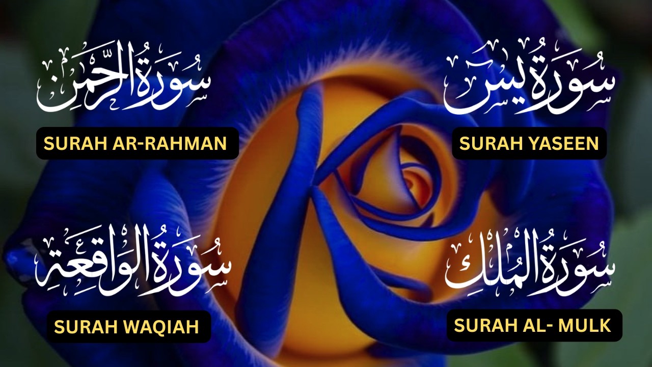 Surah Yaseen♥️, Surah Rahman♥️, Surah Waqiah♥️, Surah Al Mulk♥️| Soothing Quran Recitation❤️