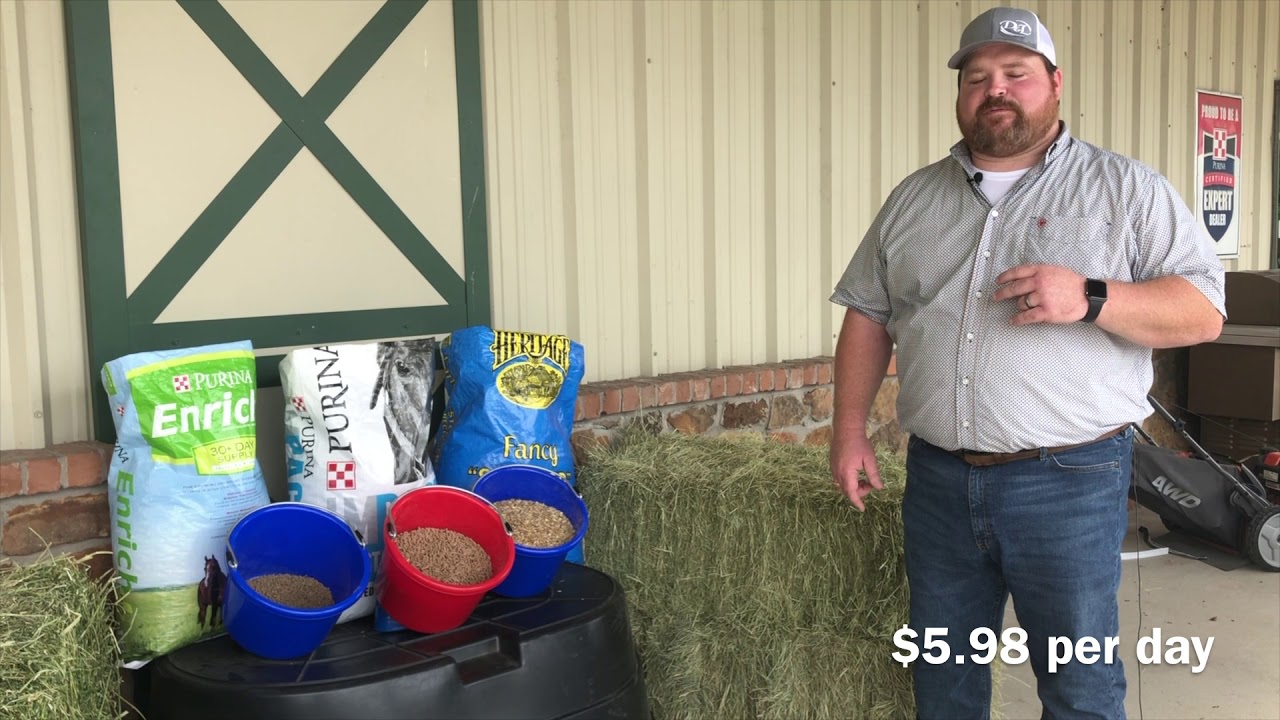 Money Matters Monday - Light Work/Maintenance Horse
